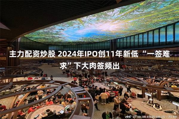 主力配资炒股 2024年IPO创11年新低 “一签难求”下大肉签频出