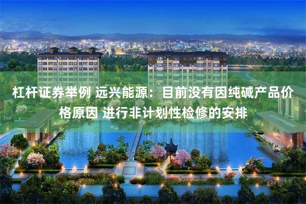 杠杆证券举例 远兴能源：目前没有因纯碱产品价格原因 进行非计划性检修的安排