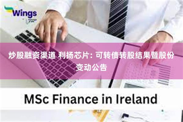 炒股融资渠道 利扬芯片: 可转债转股结果暨股份变动公告
