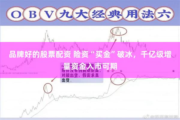品牌好的股票配资 险资“买金”破冰，千亿级增量资金入市可期