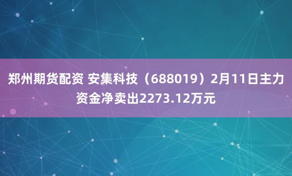 郑州期货配资 安集科技（688019）2月11日主力资金净卖出2273.12万元