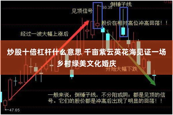 炒股十倍杠杆什么意思 千亩紫云英花海见证一场乡村绿美文化婚庆