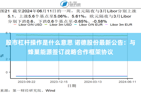 股市杠杆操作是什么意思 诺德股份最新公告：与蜂巢能源签订战略