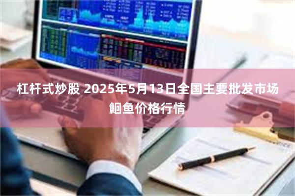 杠杆式炒股 2025年5月13日全国主要批发市场鮰鱼价格行情