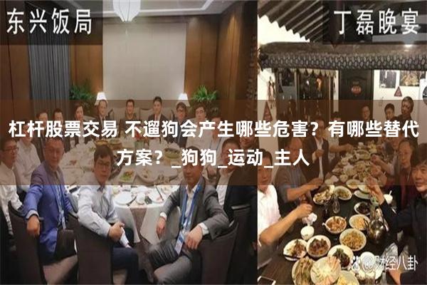 杠杆股票交易 不遛狗会产生哪些危害？有哪些替代方案？_狗狗_