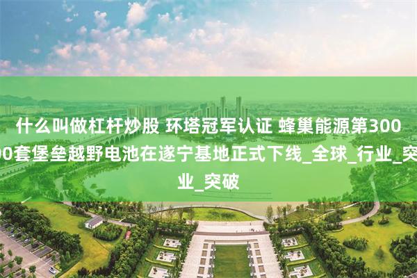 什么叫做杠杆炒股 环塔冠军认证 蜂巢能源第300000套堡垒