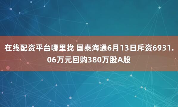 在线配资平台哪里找 国泰海通6月13日斥资6931.06万元回购380万股A股