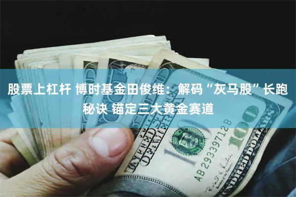 股票上杠杆 博时基金田俊维：解码“灰马股”长跑秘诀 锚定三大黄金赛道