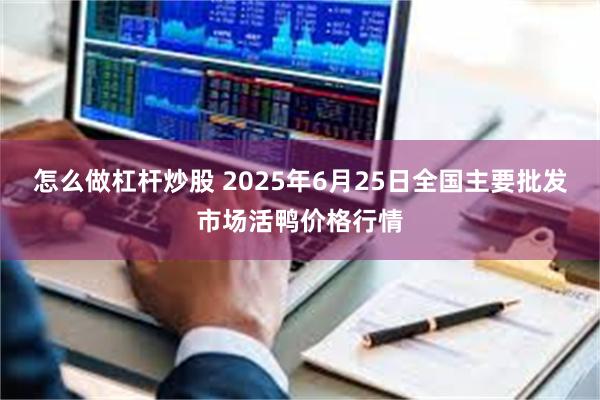 怎么做杠杆炒股 2025年6月25日全国主要批发市场活鸭价格行情