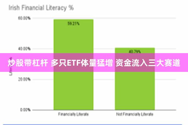 炒股带杠杆 多只ETF体量猛增 资金流入三大赛道