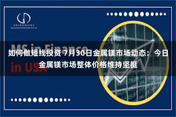 如何做短线投资 7月30日金属镁市场动态：今日金属镁市场整体
