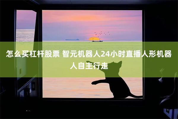 怎么买杠杆股票 智元机器人24小时直播人形机器人自主行走