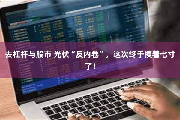 去杠杆与股市 光伏“反内卷”，这次终于摸着七寸了！