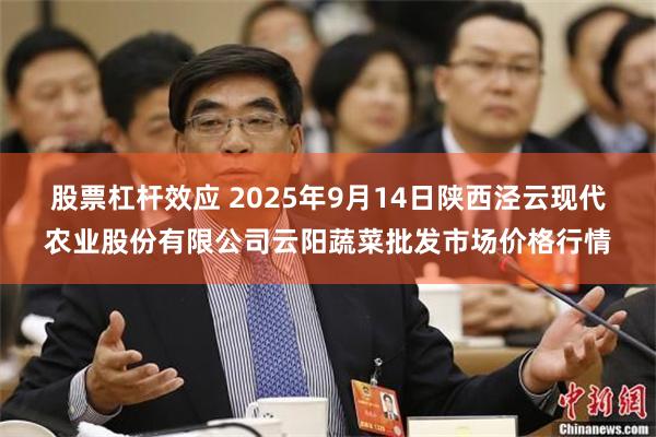 股票杠杆效应 2025年9月14日陕西泾云现代农业股份有限公