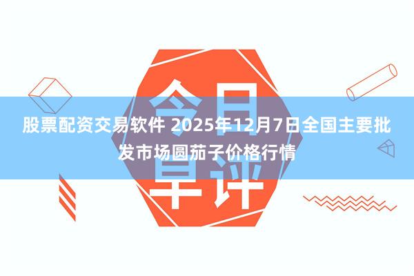 股票配资交易软件 2025年12月7日全国主要批发市场圆茄子价格行情